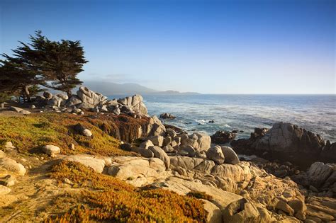 How To Experience The Best Of Monterey California Lonely Planet