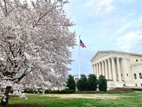 Supreme court won't hear case arguing military draft registration discriminates against men. Hitzige Zeiten in den USA: Was ist los am Supreme Court ...