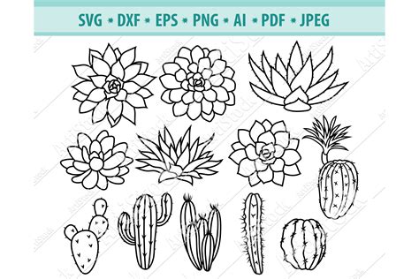 Cactus Svg Succulents Svg Plants Clipart Dxf Png Eps 626394 Cut