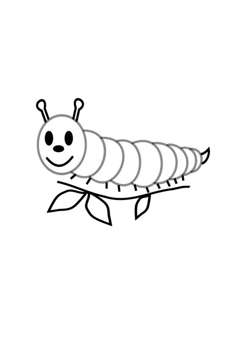 Caterpillars have 3 parts, the head, a thorax, and an abdomen. Free Printable Caterpillar Coloring Pages For Kids