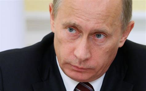 Спорт, защита животных, автомобили, отдых. Vladimir Putin: Russia Must Protect Its Citizens from GMOs ...