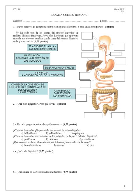 Examen Aparato Digestivo Docsity