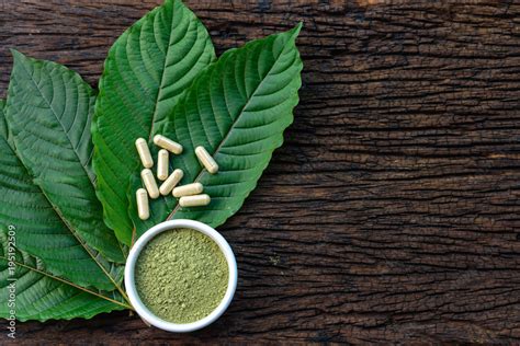 Mitragyna Speciosa Or Kratom Leaves With Medicinal Products In Capsules