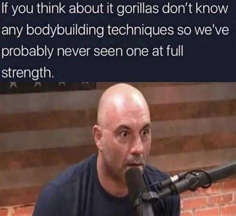 If You Think About It Gorillas Dont Know Any Bodybuilding Techniques So