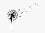Download Clip Art Image Vector Graphics Dandelion Coffee ...