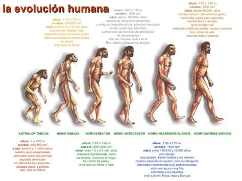 Pin de Lourdes Roldán en El origen del ser humano Evolución humana