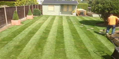 Lawn Mowing Service Hertfordshire And North London