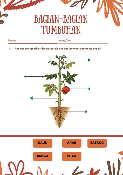 The Diagram Shows Parts Of A Plant That Are Labeled In Red And Green