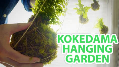 Diy Kokedama String Garden Hgtv Handmade Youtube