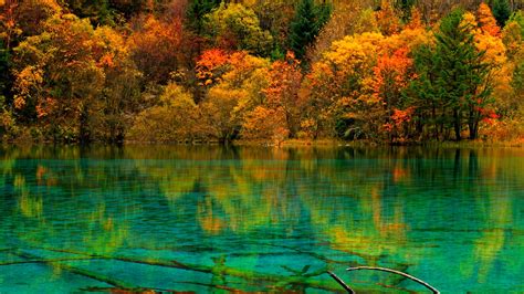 Landscape View Of Orange Yellow Green Autumn Trees Reflection On Teal