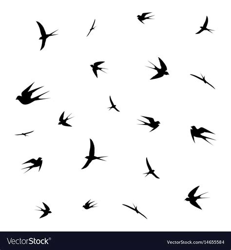 Birds Royalty Free Vector Image Vectorstock Birds Vector Vector