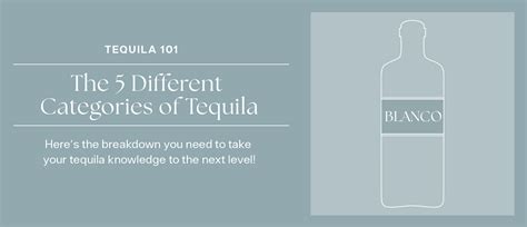 Tequila 101 The 5 Different Categories Of Tequila