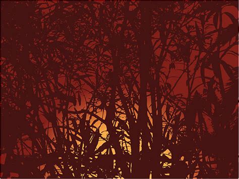 Deep Dark Forest Silhouettes Illustrations Royalty Free Vector