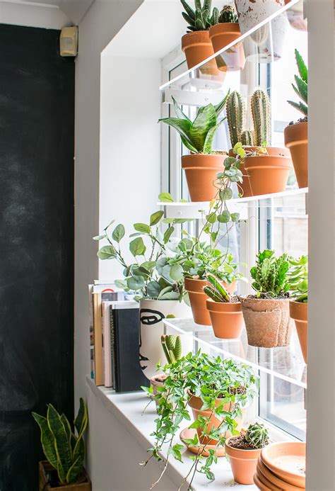 Kitchen Window Plant Shelf Download Wallpaper