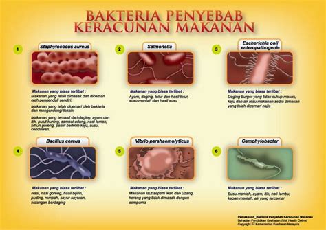 Jarang yang tahu, ini 7 langkah penting saat terjadi keracunan makanan. Makan kenduri jangan sampai perut merana! - Sumarz.Com