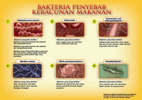 Makanan yang tidak sehat dan tidak bersih bisa menjadi salah satu penyebab keracunan.simak penyebab dan cara mencegah keracunan menurut pusat pengendalian dan pencegahan penyakit (cdc), salmonella menyebabkan 1,2 juta penyakit makanan, 23.000 dirawat di rumah sakit dan 450. Makan kenduri jangan sampai perut merana! - Sumarz.Com