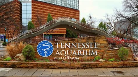 Tennessee Aquarium Walk Through Freshwater Side Youtube