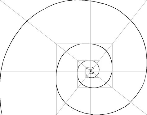 Spirals in nature tend to follow the golden ratio (phi) or fibonacci sequence in their rates of expansion. Golden Rectangle and Golden Cuboid | Geometry art, Sacred ...