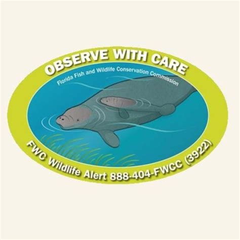 Manatee Decals Fwc