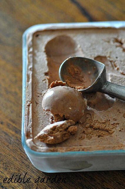 Homemade Chocolate Ice Cream Recipe Eggless Step By Step Edible Garden
