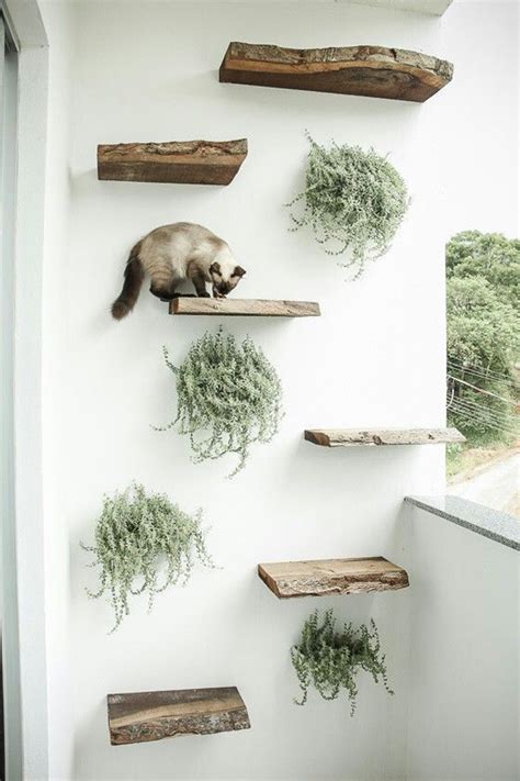 30 Modern Diy Cat Playground Ideas In Your Interior Cat Playground