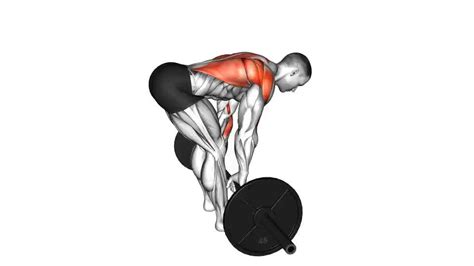 Bent Over Row Video Guide Lyfta