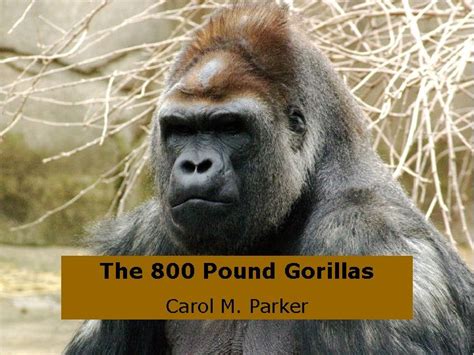 The 800 Pound Gorillas Carol M Parker Overview