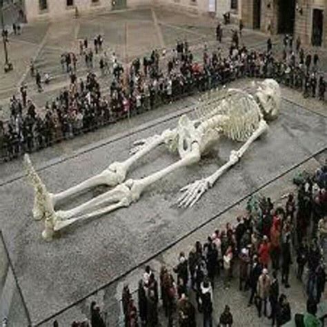 pin by lidia smith on strange people and things giant skeleton giant skeletons found