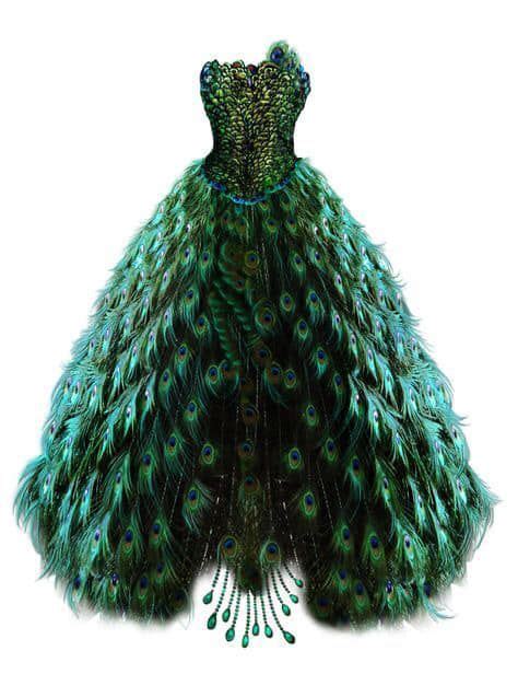 Peacock Costume Peacock Dress Feather Dress Beautiful Gowns