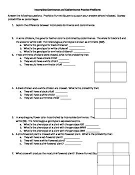 Provide a punnett square to support your answers where indicated. Jeffrey DeBlase Teaching Resources | Teachers Pay Teachers