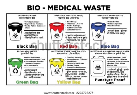 Bio Medical Waste Segregation Chart Stock Vector Royalty Free Sexiz Pix
