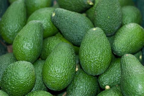South Africa Forecasts Greater Avocado Exports Despite Off Bearing Year