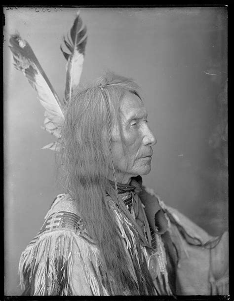 Yellow Hair Sicangu Lakota Sioux 1904 American Indian History