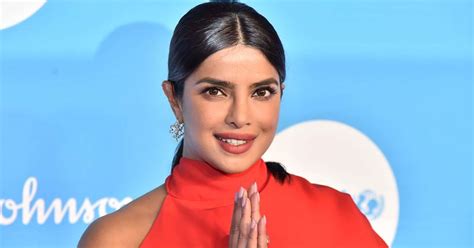 Priyanka Chopra Apologizes For Controversial Quantico Episode Says Shes A Proud Indian Meaww