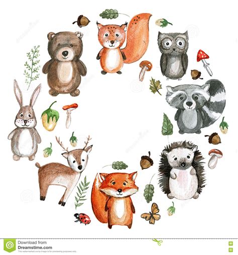 Big set of cute watercolor animal christmas in. Cute Woodland Animals Watercolor Images Kindergarten Zoo ...