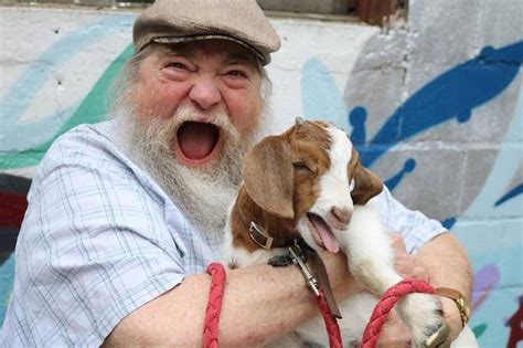 20 Adorabaaal Goats That Totally Rock Our Haaarts Bright Side