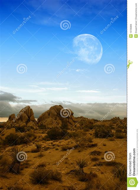 Moon Over Desert Stock Photo Image Of Desert Ocotillo 13735866