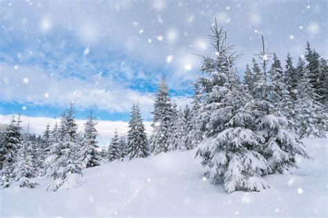 Open the photo in photoshop application to which snow effect must be added. Download Snow Effect Photoshop Action 14340811 - SoftArchive