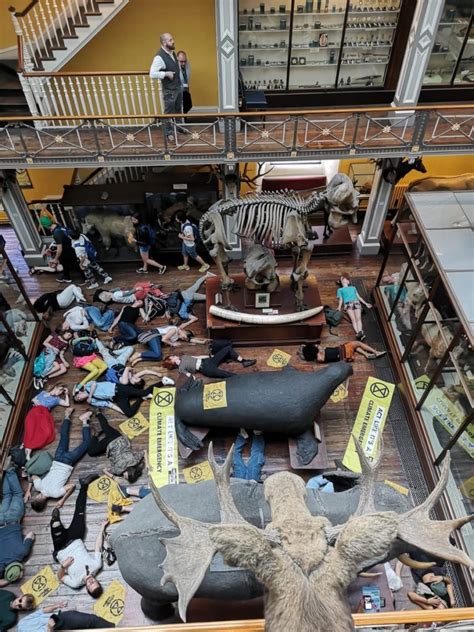 Being alive on earth now is all the qualification required. Extinction Rebellion Ireland holding demonstrations in ...