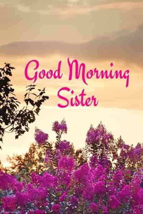 Good Morning Sister Happy Monday 🌹🌼💝💕💖🔻🌪 Good Morning Sister Images