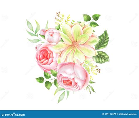 Delicate Watercolor Bouquet Of Roses Stock Illustration Illustration
