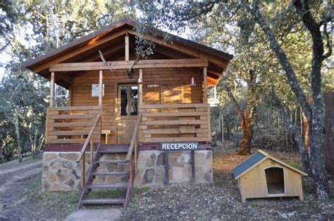 Si tanta adrenalina no va contigo, puedes optar por una ruta en bicicleta o un paseo a caballo. 10 casas rurales para ir con niños | Casas rurales, Casas ...