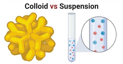 Colloid Vs Suspension Definition 12 Key Differences Examples