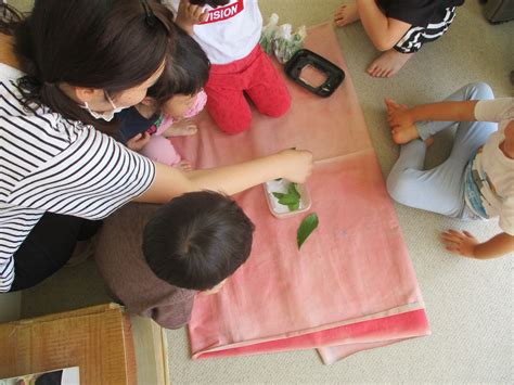 See more of ことりのおうち～触れあいインコカフェ～ on facebook. はらぺこあおむし…ちょうちょになるかな？ | 社会福祉法人 ...