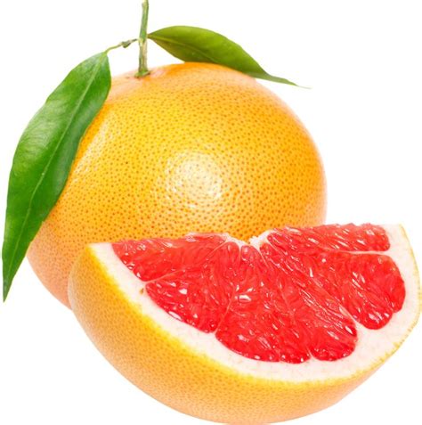 Grapefruit Grapefruit Picture Grapefruit Fruits Images