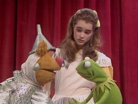 1980 Brooke Shields Fifteen Is The Youngest Ever Host Of The Muppet