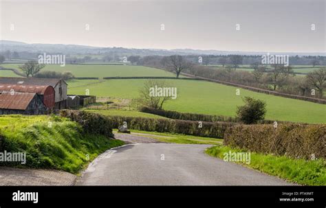 A Single Track Country Lane Winds Through Agricultural Fields And