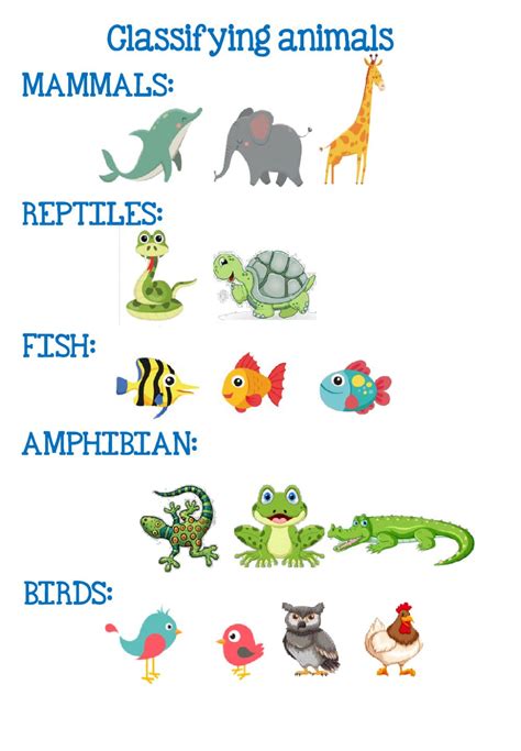 Classifying animals interactive worksheet