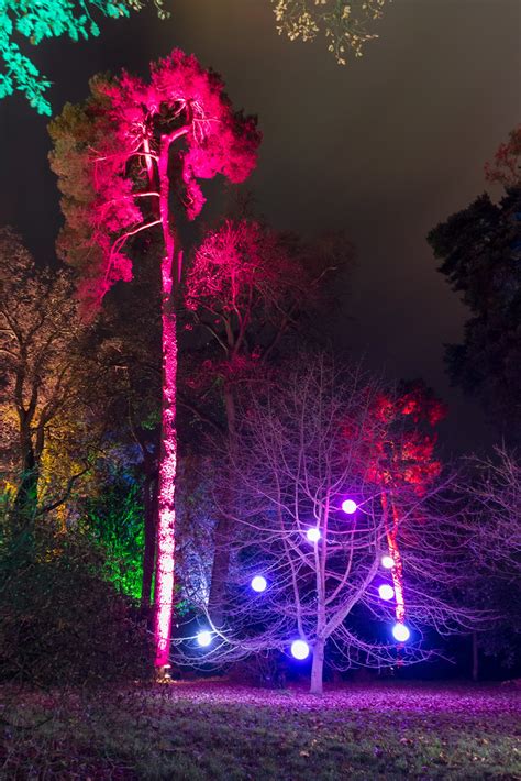 Westonbirt Arboretum Enchanted Christmas 2013 Lee Flickr