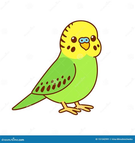 Cute Cartoon Budgie Stock Vector Illustration Of Background 151342991
